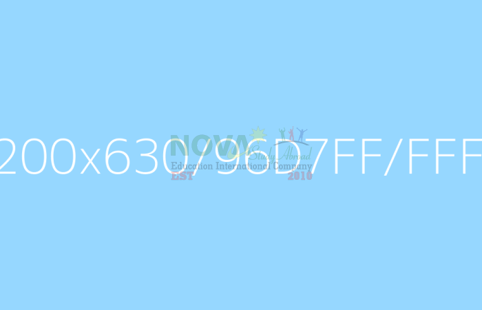 dummy-image-19